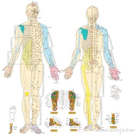 现代医学如何解释中医经络？