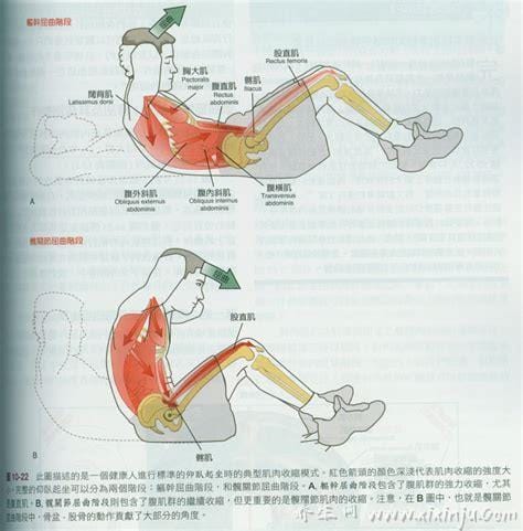 踩腹肌有什么作用(踩腹肌有什么作用和好处)