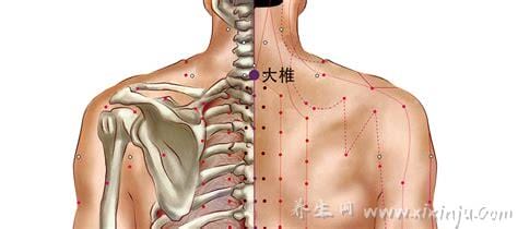 大椎的准确作用(大椎的准确位置与功效)