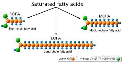 中链脂肪酸的作用(中链脂肪酸的作用与功效,中链脂肪酸啥治啥病的)