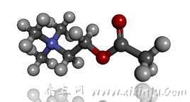 胆碱酯酶的作用(乙酰胆碱的作用是什么)