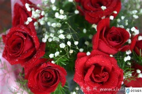 1一100送花的含义,100朵玫瑰是百分之百的爱