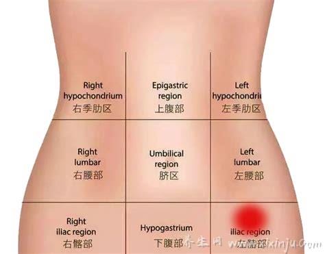 女人腹部疼痛对应位置图,上腹部消化系统疾病/下腹部妇科病