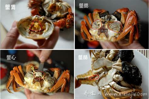 螃蟹哪里不能吃高清图,大闸蟹的肠/鳃/心/胃很脏有寄生虫