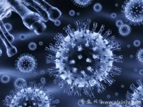 eb病毒是什么病毒严重吗,亲吻病和流感的区别症状(高烧/皮疹)