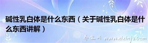 碱性乳白体是啥,雄性高潮时射出的精液(精子与精浆的混合液)