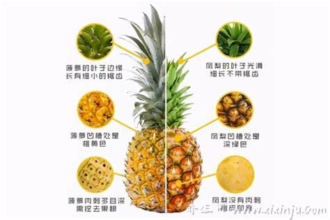 菠萝和凤梨是同一种水果吗,是同一种水果(但有凤梨和菠萝的区别)