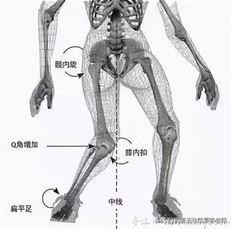  髌骨是指人体哪个部位