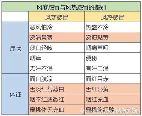 风热感冒和风寒感冒怎么区别用药