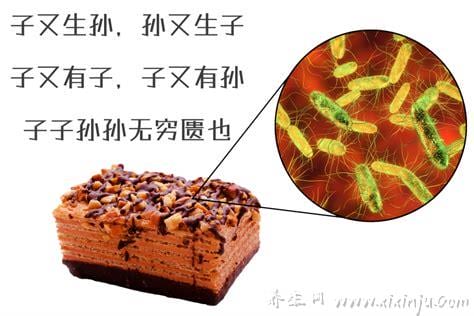 沙门氏菌感染能自愈吗