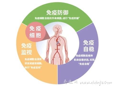  免疫系统的功能