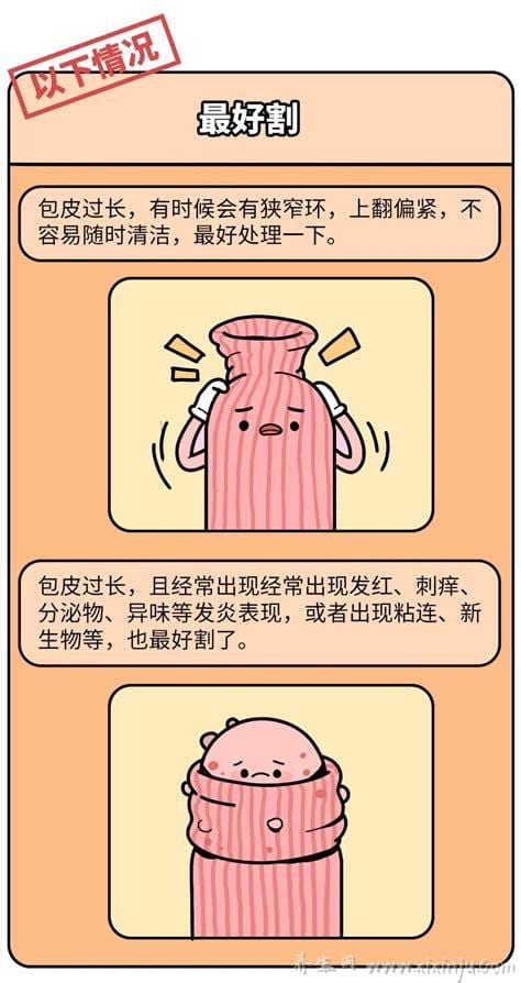  男人有包茎不割有什么害处