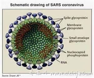 sars是什么病毒