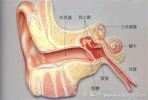  急性中耳炎的症状与治疗