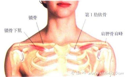  脖子下方靠近锁骨处疼怎么回事