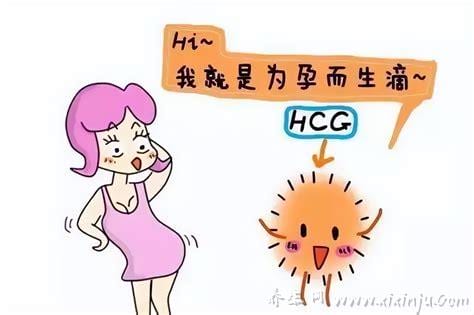  怀孕的孕酮标准是多少