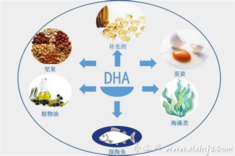  孕期dha的作用与功效