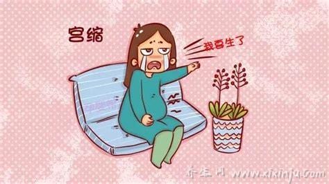 孕妇临产前3天的症状