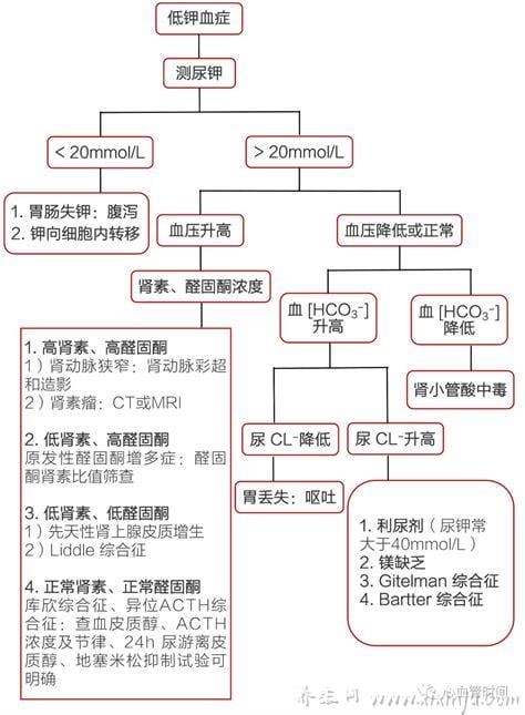  低钾血症的护理措施