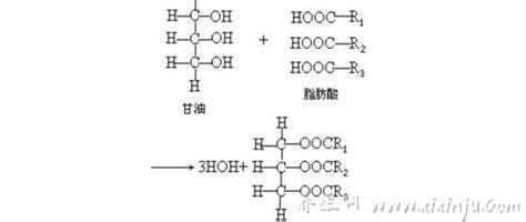  甘油三酯是什么意思