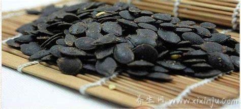 丝瓜子炒熟的功效与作用