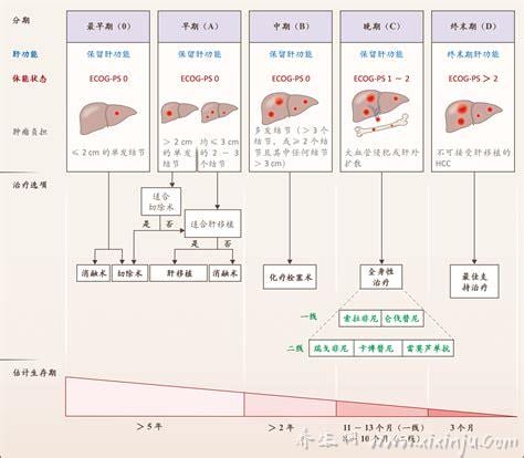 肝癌早期能活多久