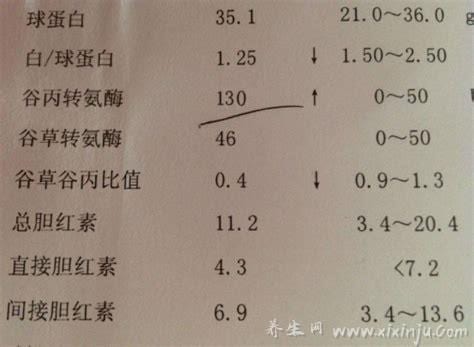  谷丙转氨酶100多严重吗