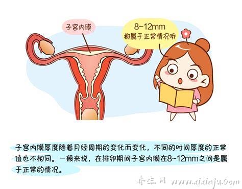  正常的子宫内膜厚度是多少