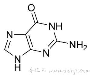 嘌呤是什么