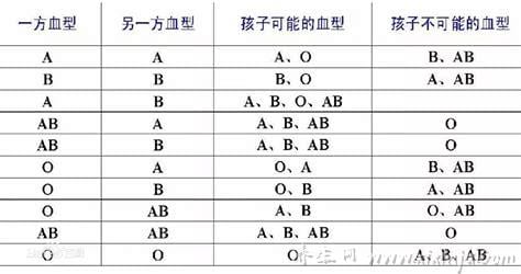 两个o型血能生出什么血型的孩子