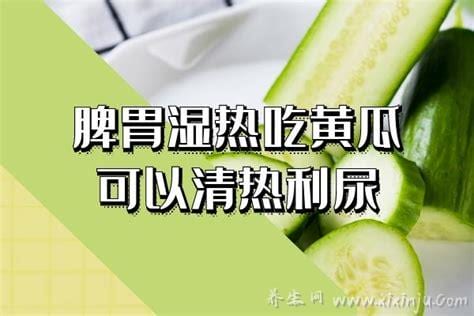 脾胃湿热吃什么中成药