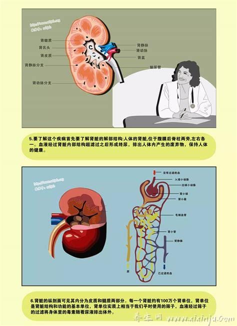  什么是尿毒症