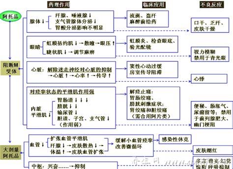 阿托品的药理作用